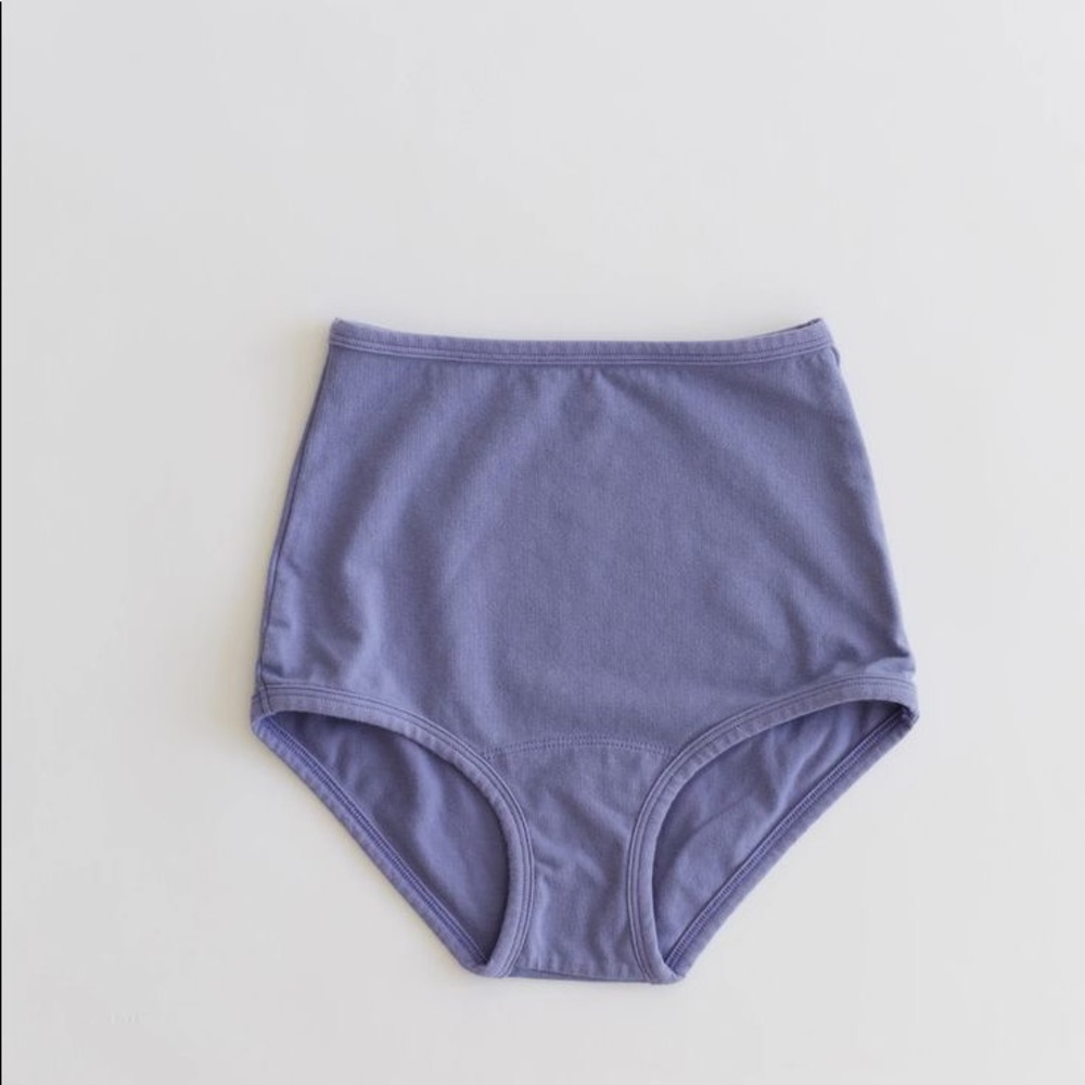 EUC arq periwinkle high rise underwear size XS